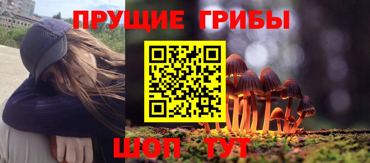 Ивантеевка  Псилоцибиновые грибы MAGIC MUSHROOMS  Вход с VPN 