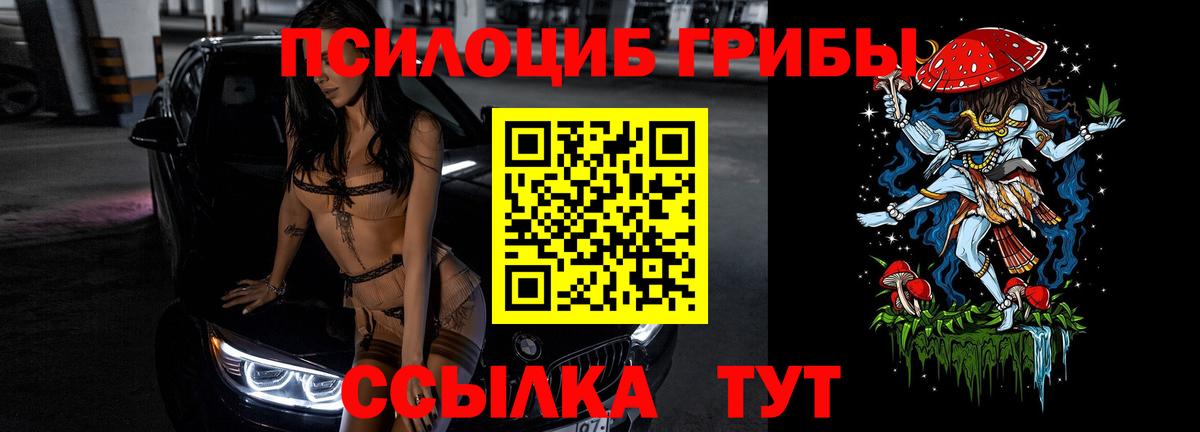 Галлюциногенные грибы GOLDEN TEACHER Ивантеевка